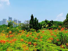-南沙蒲洲花园