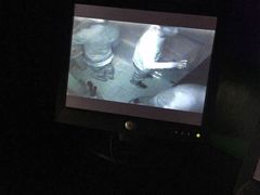 -秃鹫湾·推理大师沉浸式实景演绎推理剧场