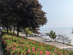 -深圳湾公园(南山区)