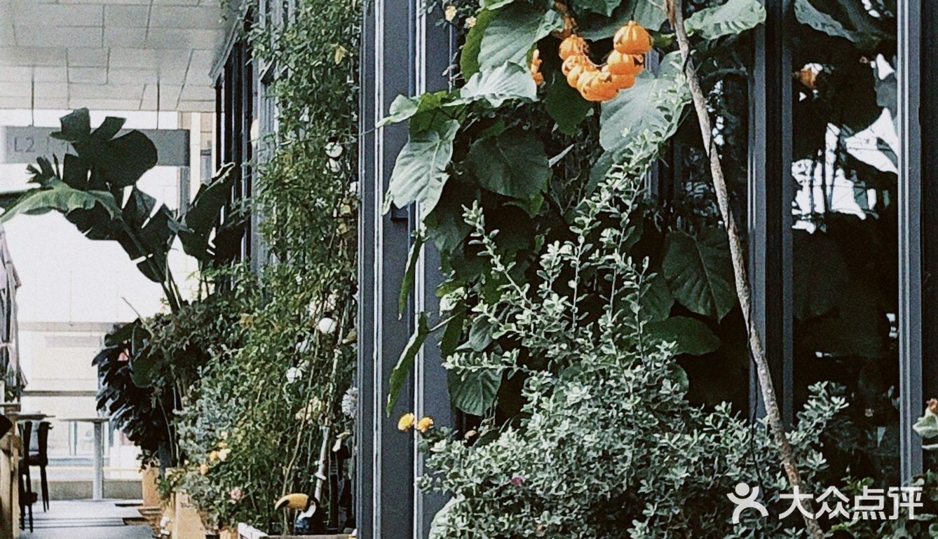 我非常喜欢二十集无界餐厅的免费生日布置服务。首先