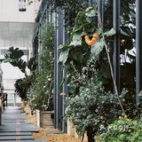 我非常喜欢二十集无界餐厅的免费生日布置服务。首先