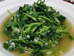 -胡杨记忆(和平路店)