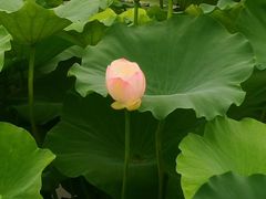 -桤木河湿地公园