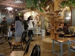 大堂-共舞时光猫咖·狗咖(新街口店)