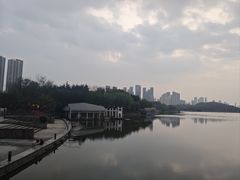 -月湖风景区