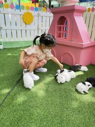 -萌宠亲子动物乐园(槐房万达店)