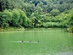 -广州白江湖森林公园