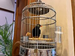 -杭州香格里拉饭店