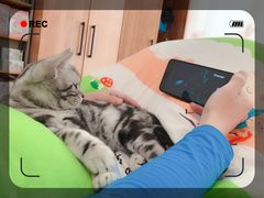-喜多萌中农锦绣动物医院24H·猫科·牙科MRI·CT