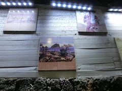 -西归浦每天偶来市场