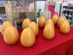 -予荷舞蹈(盛景校区)