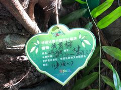 -呀诺达热带雨林