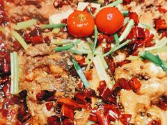 -老板恋上鱼(恒隆广场店)