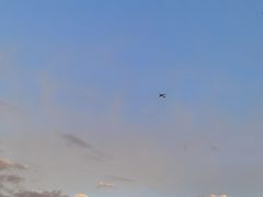 -同济大学(嘉定校区)