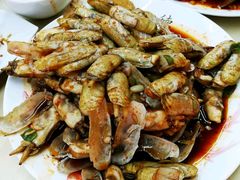 辣炒蛏子-天津乾毓德饭庄·清真传统炒菜·海鲜烧烤(咸阳路店)