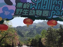 -西安秦岭野生动物园