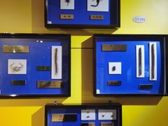 -上海昆虫博物馆