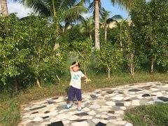 -亚龙湾国际玫瑰谷