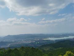 -水濂山森林公园