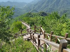 -大岭沟猕猴桃谷风景区