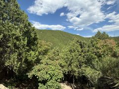 -北京十三陵国家森林公园蟒山景区