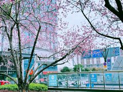 -维也纳国际酒店·苏州火车站店