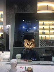 -丝语萱形象