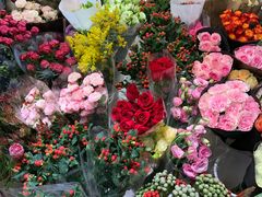 -双季花艺园艺市场(浦东店)