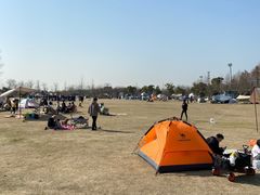 -上海长兴岛郊野公园