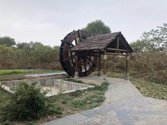 -同里国家湿地公园
