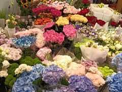 -双季花艺园艺市场(浦东店)