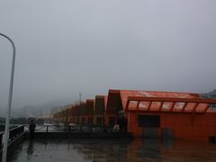 -沈家门海鲜夜排档(东港店)