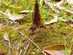 -盘龙城国家考古遗址公园