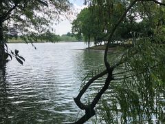 -白塘生态植物园