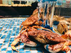 -广东道至正餐厅(区庄店)