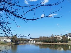 -眉山湿地公园(东坡区)