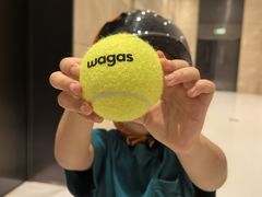 -Wagas沃歌斯(合生汇店)