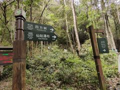 -姑婆山旅游区