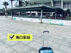 -海口东站