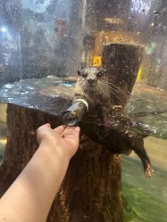 -Zoolung Zoolung动物主题公园(海信广场店)