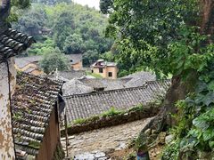 -杨家堂村