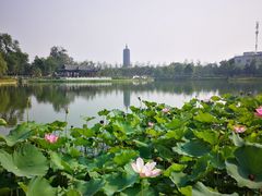 -西海子公园
