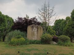 -白鹭湾湿地公园