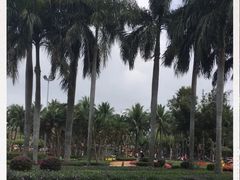 -万绿园