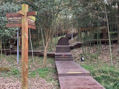 -悦兮半岛温泉度假酒店·餐厅部