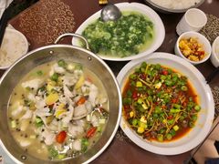 -糊涂兔毛毛菜(八里庄店)