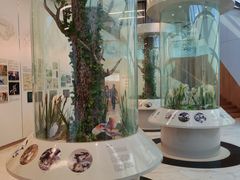 -下渚湖国家湿地公园科普馆