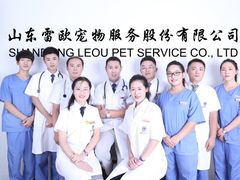 -瑞派雷欧宠物医院·24h夜诊·心脏骨科牙科·全科重症转诊中心(无影山店)