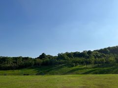 -羊山湖公园
