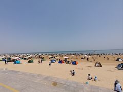 -日照海滨国家森林公园